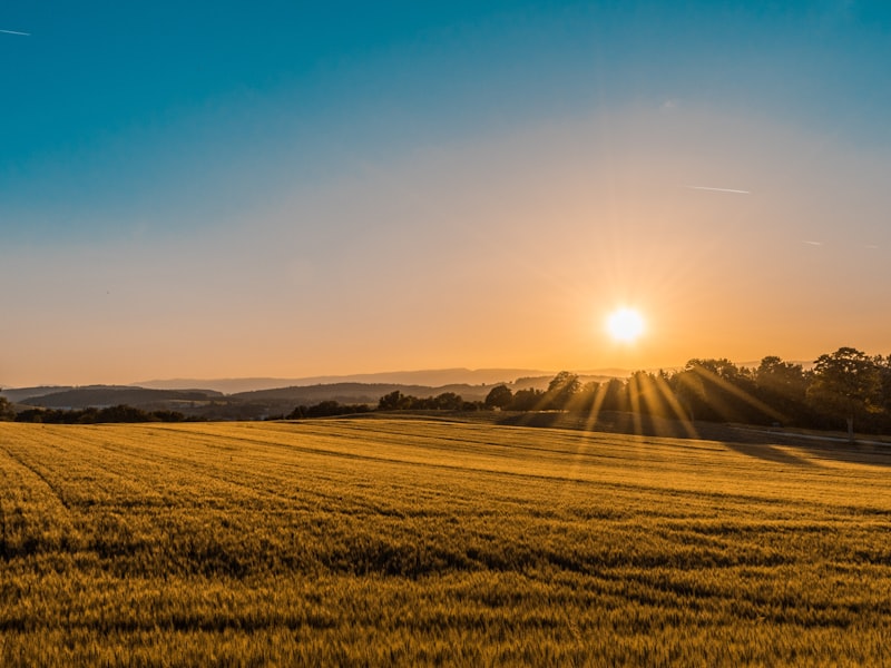 Terreno Residencial